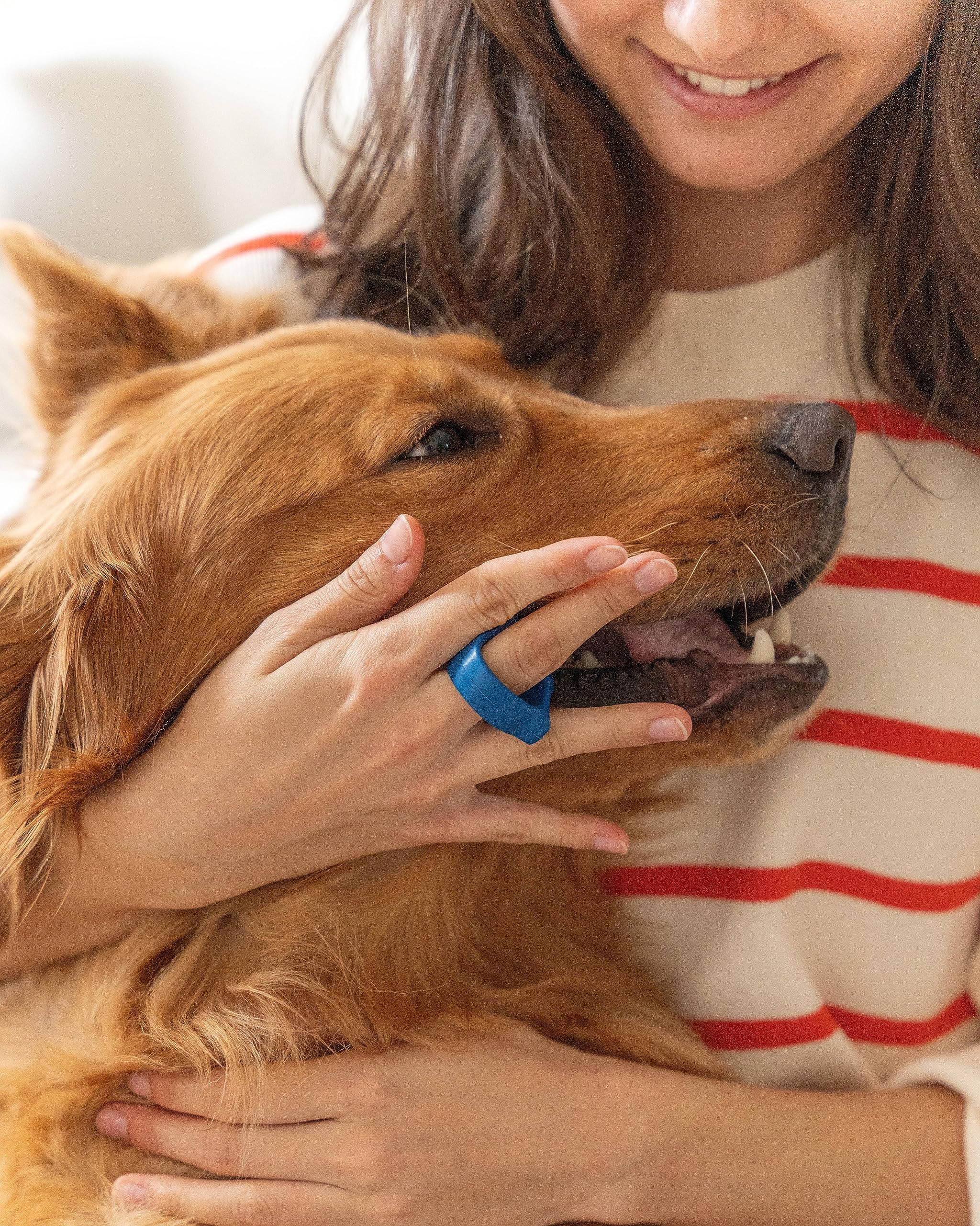 Paw Ready Pet Toothbrushing Assistant for Dogs and Cats Allows You to Brush Your pet’s Teeth Without Constantly Worrying About Getting Bitten Medium Size for Pets Between 15-85 lbs. (7-38.5 Kg)