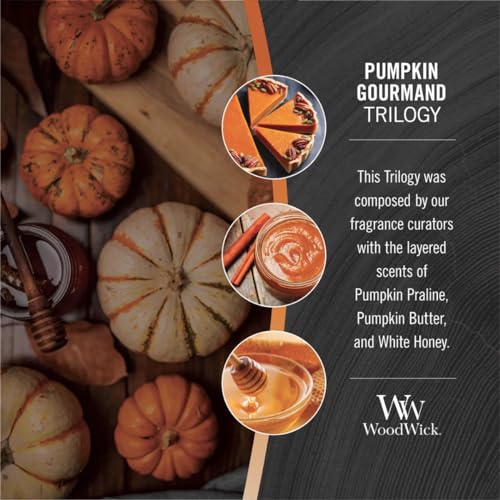 WoodWick Pumpkin Gourmand Ellipse Candle