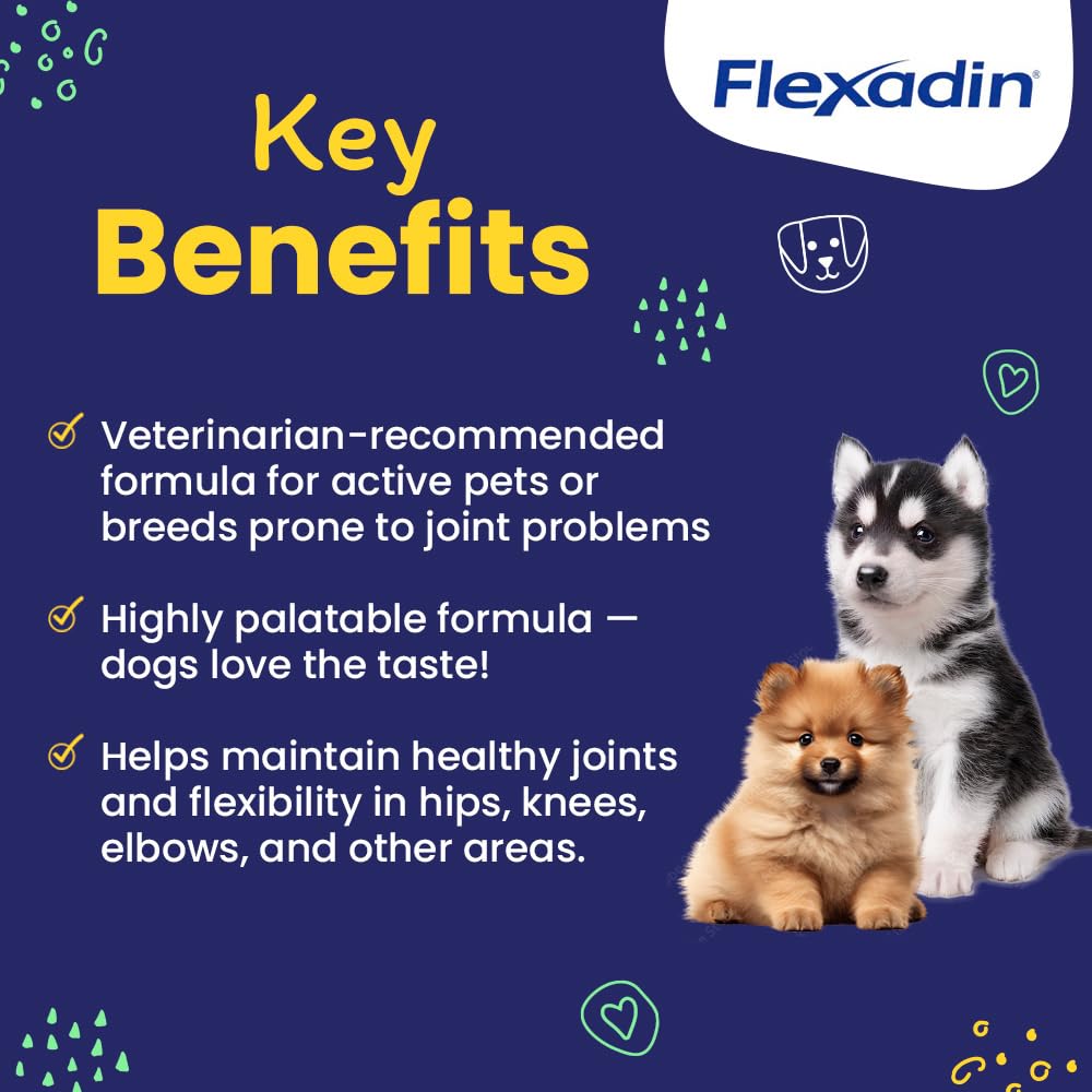 Vetoquinol Flexadin Hip and Joint Supplement with Glucosamine for Dogs, Joint Support Chew with Green-Lipped Mussel and MSM, 90-Count