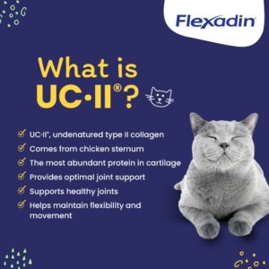 Vetoquinol Flexadin Cat Hip and Joint Support Chew with UC-II, Cat Joint Supplement, Clinically Proven and Veterinarian-Developed Formula for Hip and Joint Support Cats, 30 Count Bag