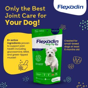 Vetoquinol Flexadin Hip and Joint Supplement with Glucosamine for Dogs, Joint Support Chew with Green-Lipped Mussel and MSM, 90-Count