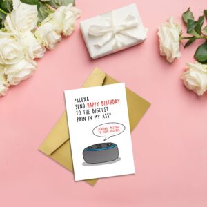 DASLET Funny Birthday Card for Brother, Joke Happy Birthday Greetings Cards for Brother, You Are The Best Brother (Alexa)