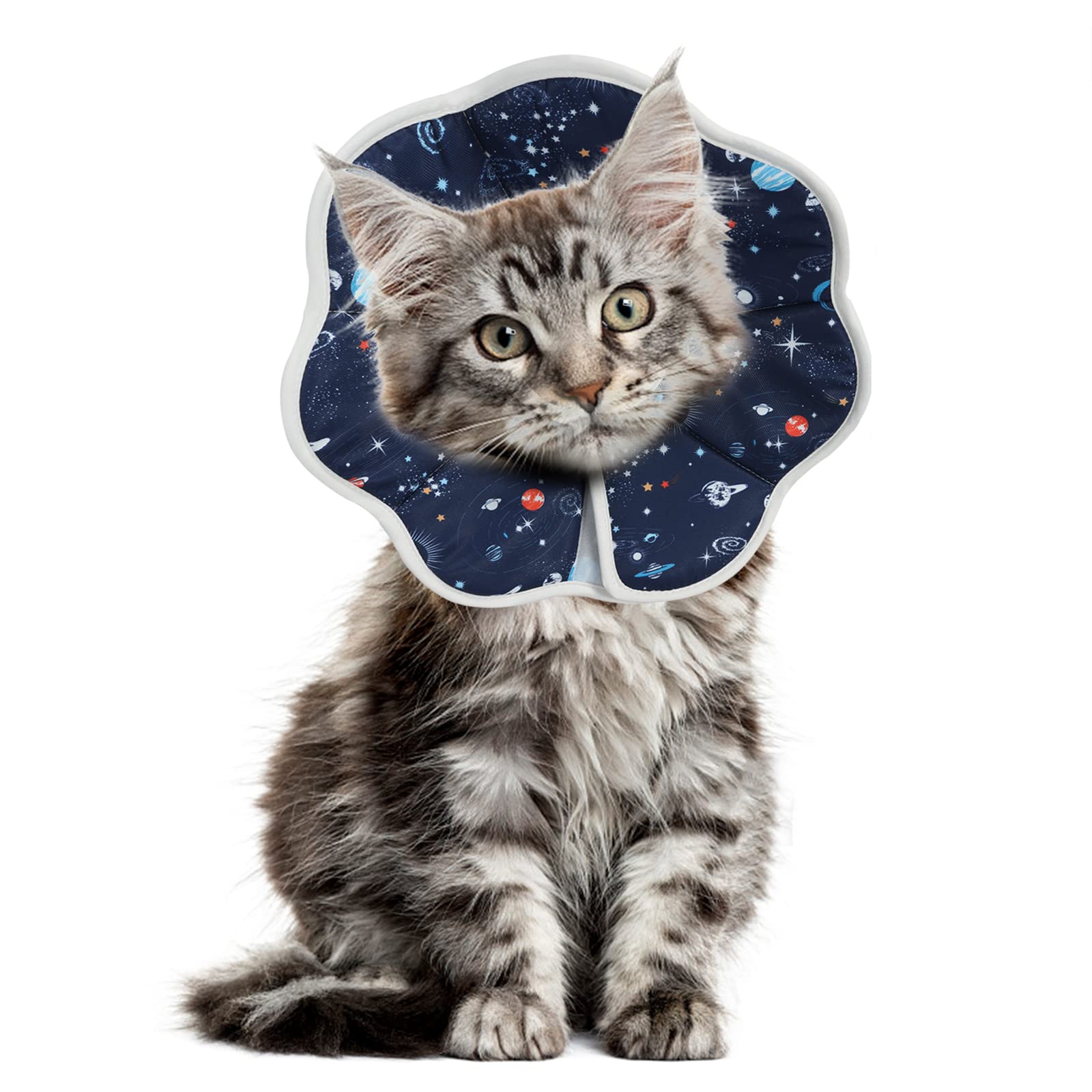 WPLQGL Cat Cone Collar Soft, Cat Cones After Surgery, Recovery Collars, Waterproof, Soft, Size Adjustable,Suitable for Bathing, Grooming, Preventing Scratching and Licking (M (Neck:9-11 in))