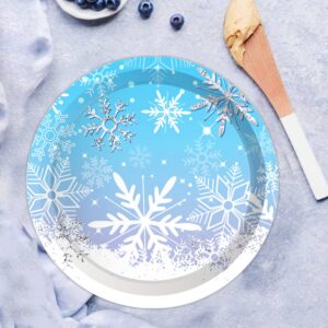 ipalmay Snowflake Party Plates Serves 24, Winter Snow Themed Disposable Paper Plates for Christmas, Holiday Celebration, Baby Shower, Wedding, Bridal Shower, New Year Blue White Party Supply