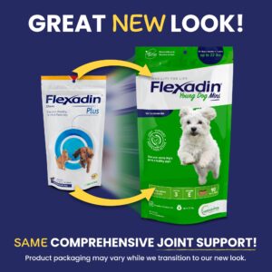 Vetoquinol Flexadin Hip and Joint Supplement with Glucosamine for Dogs, Joint Support Chew with Green-Lipped Mussel and MSM, 90-Count