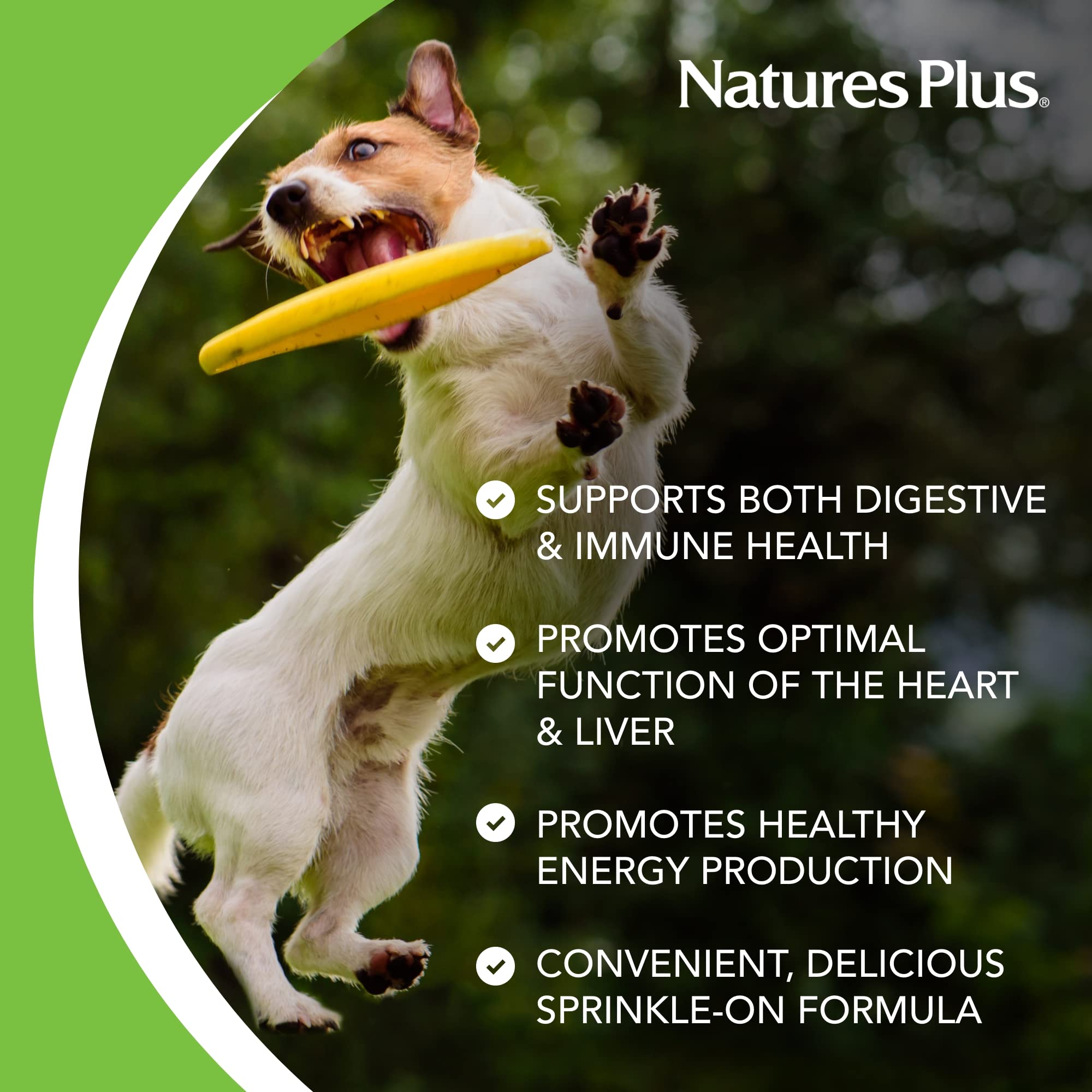 Natures Plus FurBaby Probiotic for Dogs - 9.5 oz - Supports Digestive, Heart, Liver & Immune Health - 60 Servings