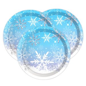 ipalmay Snowflake Party Plates Serves 24, Winter Snow Themed Disposable Paper Plates for Christmas, Holiday Celebration, Baby Shower, Wedding, Bridal Shower, New Year Blue White Party Supply