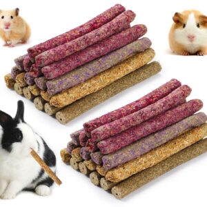 PStarDMoon Rabbit Chew Toys for Teeth, Timothy Grass Carrot Sticks for Guinea Pig Hamster Chinchilla Squirrel Bunny Small Rodent Animals (40 pcs)