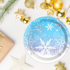 ipalmay Snowflake Party Plates Serves 24, Winter Snow Themed Disposable Paper Plates for Christmas, Holiday Celebration, Baby Shower, Wedding, Bridal Shower, New Year Blue White Party Supply