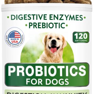 Dog Probiotics Chews Bundle - Gas, Diarrhea, Allergy, Constipation, Upset Stomach Relief - Digestive Enzymes + Prebiotics - Improve Digestion - 120 + 120 Chews - Chicken + Bacon Flavor - Made in USA