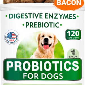 Dog Probiotics Chews Bundle - Gas, Diarrhea, Allergy, Constipation, Upset Stomach Relief - Digestive Enzymes + Prebiotics - Improve Digestion - 120 + 120 Chews - Chicken + Bacon Flavor - Made in USA