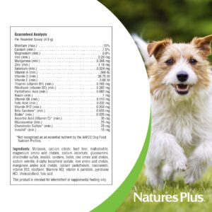 NaturesPlus FurBaby Multivitamin for Dogs - 10.4 oz - Supports Joint Health, Immune Function, Healthy Coat & Energy Production - Non-GMO - 60 Servings