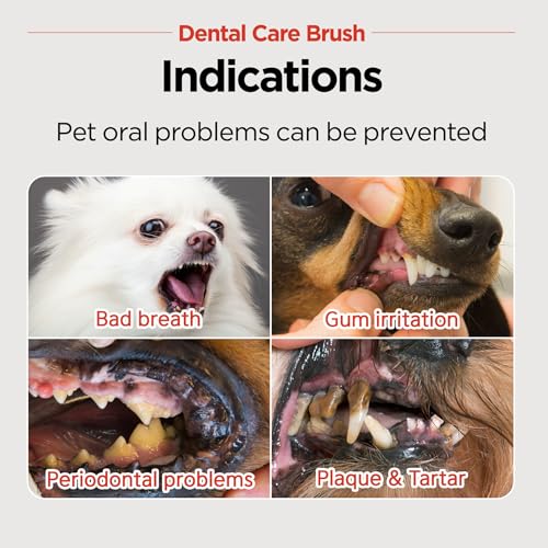 JAYU PET Dental Care Brush (Soft Bristles) 5ea - Toothbrush for Small Dog and Cat with Horizontal Head & Easy Grip Handle