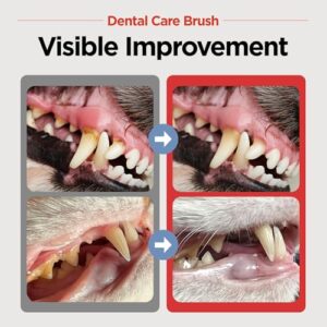 JAYU PET Dental Care Brush (Soft Bristles) 5ea - Toothbrush for Small Dog and Cat with Horizontal Head & Easy Grip Handle