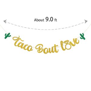 Dalaber Taco Bout Love Banner, Mexican Fiesta Theme Wedding/Engagement/Bridal Shower/Bachelorette Party Decoration Banner, It's Time to Fiesta Party Banner Photo Booth Props