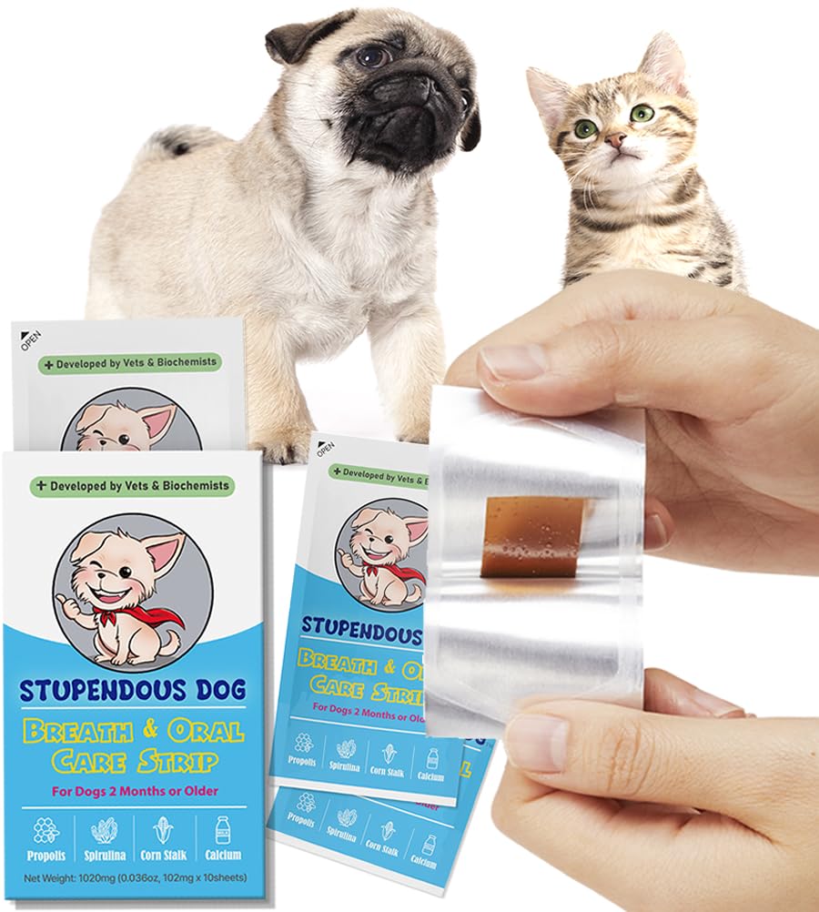 Stupendous Dog Breath Freshener Strip for Clean Teeth, Fresh Breath, & Healthy Mouth: Dog Water Additive for Dental Care - Pet Bad Breath Remedy - Cat Dental Mint Treats (10 Strips)