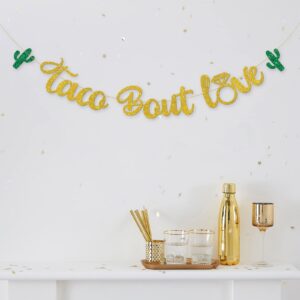 Dalaber Taco Bout Love Banner, Mexican Fiesta Theme Wedding/Engagement/Bridal Shower/Bachelorette Party Decoration Banner, It's Time to Fiesta Party Banner Photo Booth Props