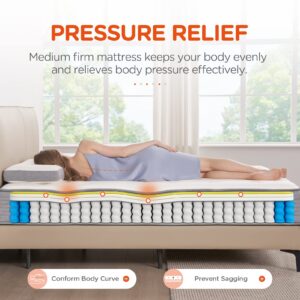 Twin XL Mattress, DIGLANT 10 Inch Memory Foam Hybrid Mattress, Tight Top Pocket Spring Mattress Sleep Supportive & Motion Isolation, Medium Firm Feel Mattress in a Box, CertiPUR-US Certified