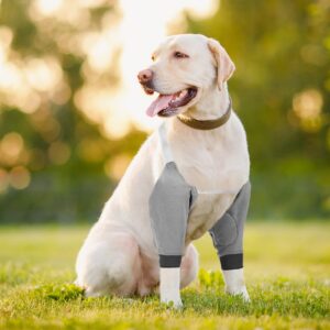 2 Pairs Dog Elbow Protector Dog Front Leg Braces Dog Recovery Sleeve with Elastic Band Soft Padded Adjustable Dog Knee Brace for Small Medium Large Dog, 2 Colors (X-Large)