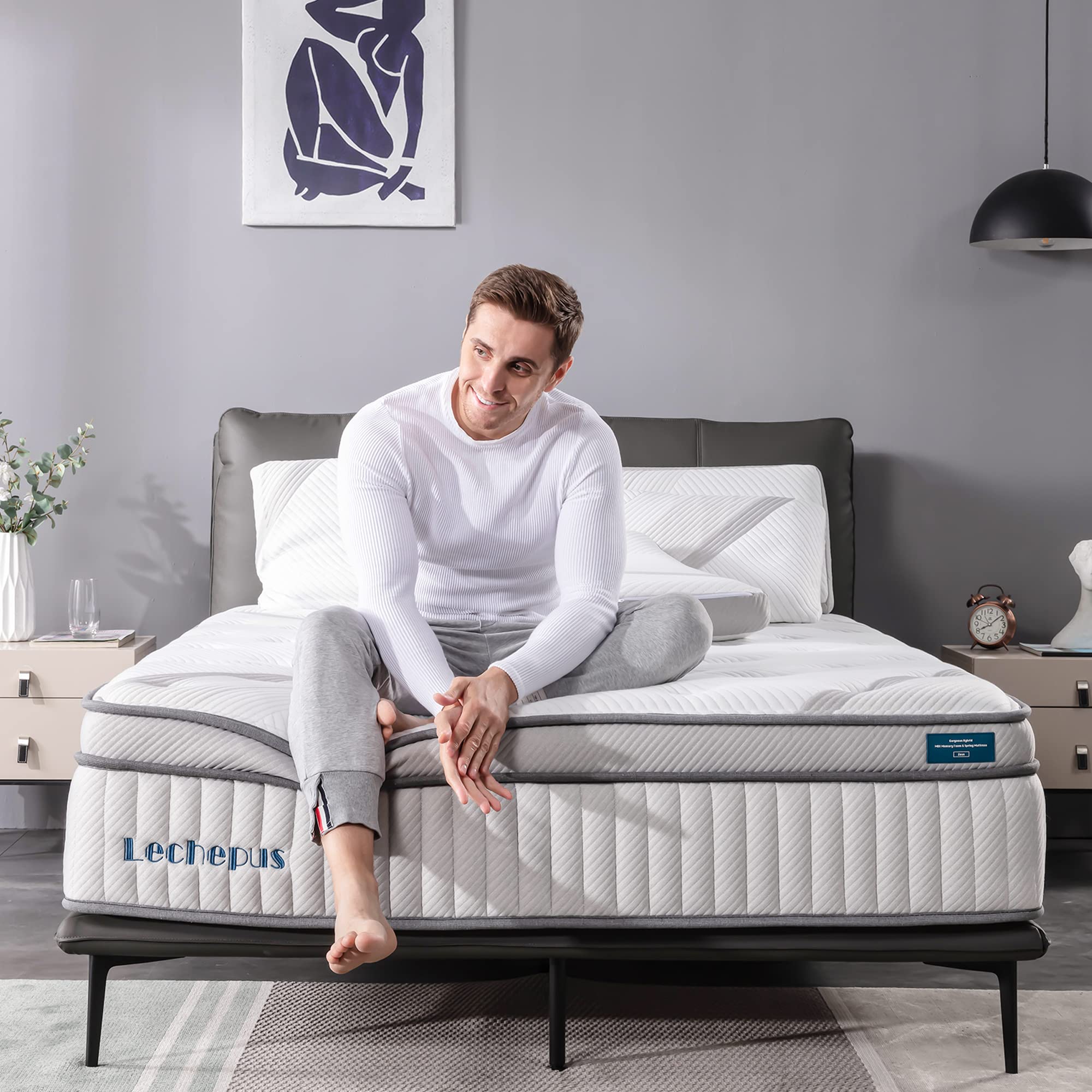 Lechepussleep King Mattress,Lechepus 14 Inch Hybrid Memory Foam Mattresses with Pocket Springs,Mattress in Box,Plush Feel Euro Top Mattress for Cool Sleep & Back Pain Relief,CertiPUR-US Foam