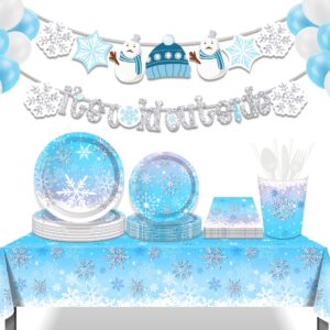 Winter Party Decorations, Snowflake Party Decorations, Christmas Party Decorations Include Blue Snow Party Plate, Dessert Plates, cups, Napkins (16 Guests)