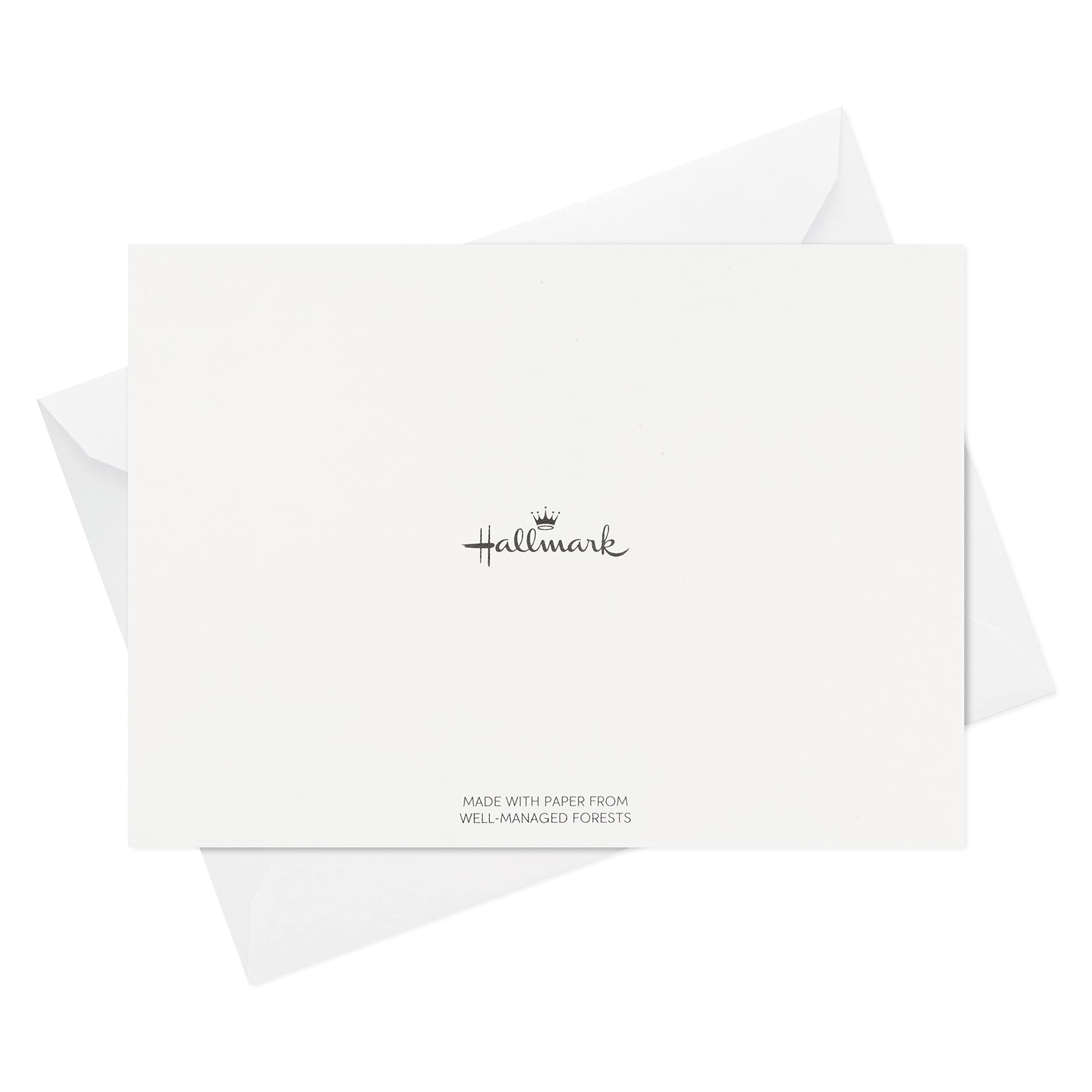 Hallmark Pack of Thank You Cards, Silver Foil (20 Thank You Notes with Envelopes)