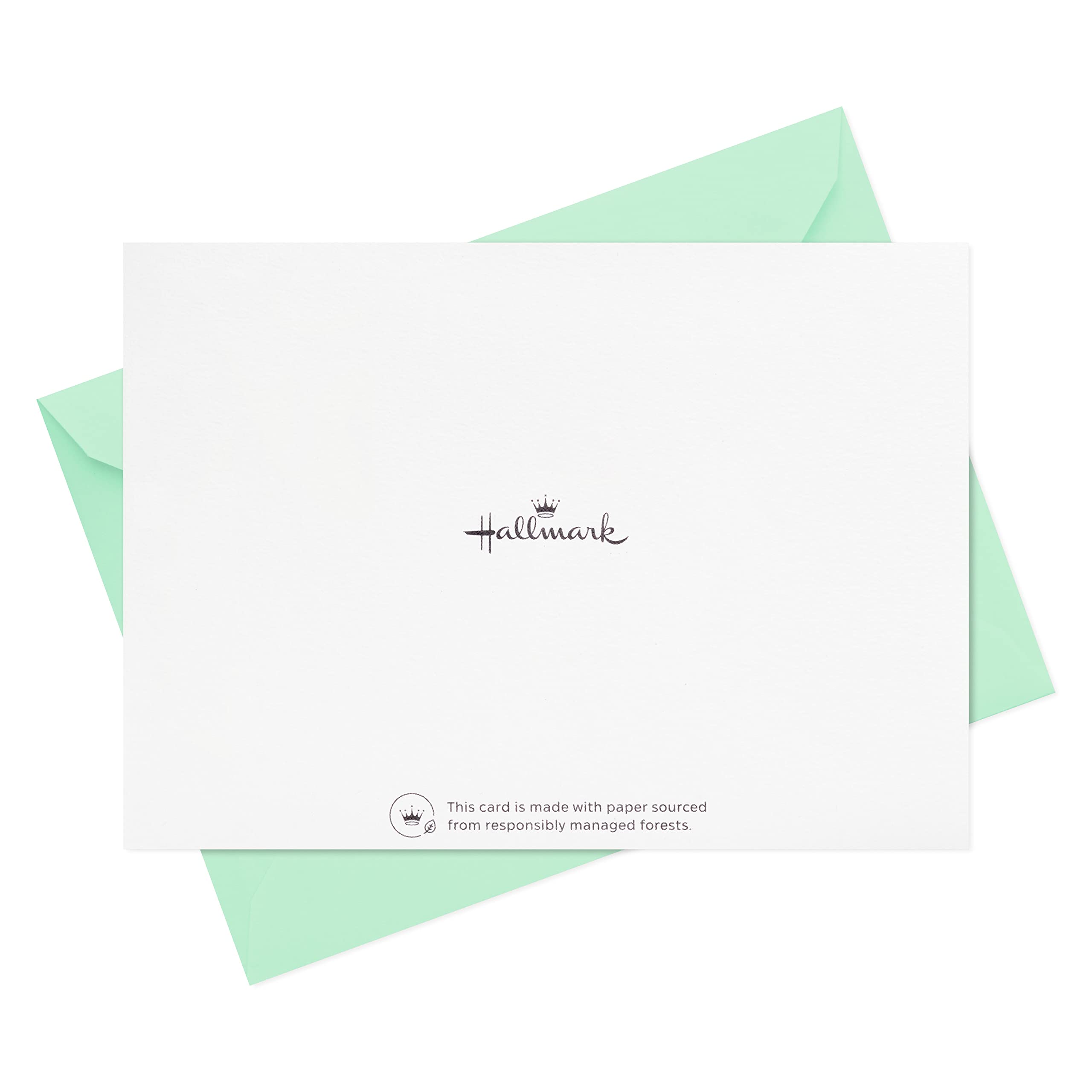 Hallmark Thank You Cards Assortment, Watercolor Greenery (50 Thank You Notes and Envelopes)