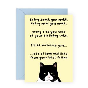 central 23 funny cat dad card - cute birthday card from cat - cat birthday card for women men him her - vegan ink - comes with stickers - made in uk