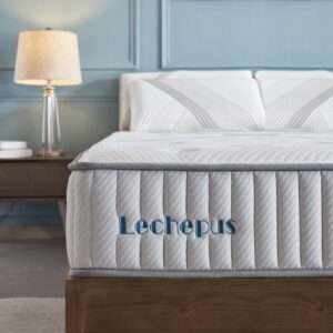 queen mattress,lechepus 10 inch premium hybrid foam mattresses in a box,pocket innersprings with memory foam for motion isolation,breathable soft cover mattress medium firm,10-years support