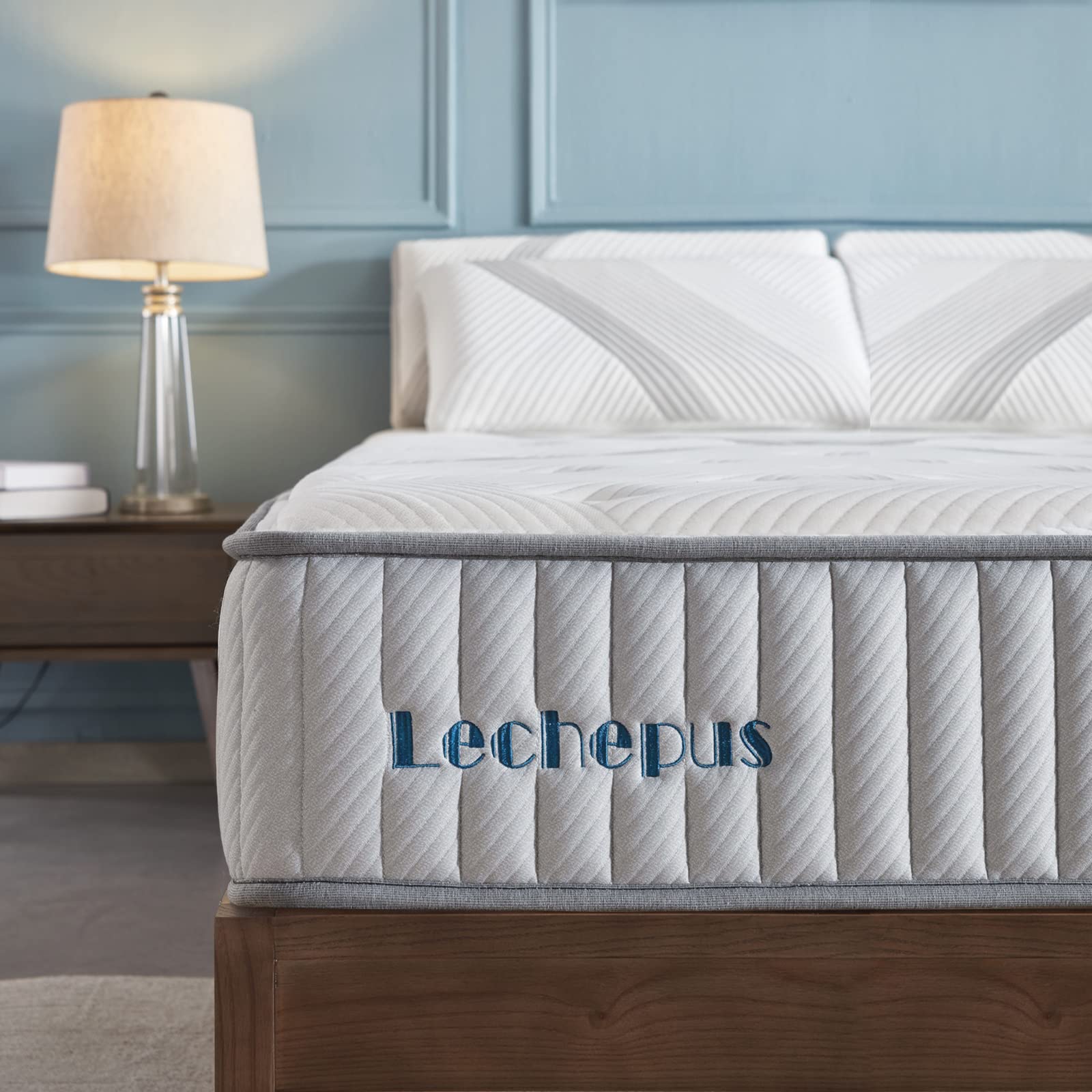 Lechepussleep Twin XL Mattress,Lechepus 10 Inch Premium Memory Foam Hybrid Mattress in Box,Pocket Springs with Memory Foam for Back Pain,Medium Firm Breathable Soft Cover Mattress 10-Years Support