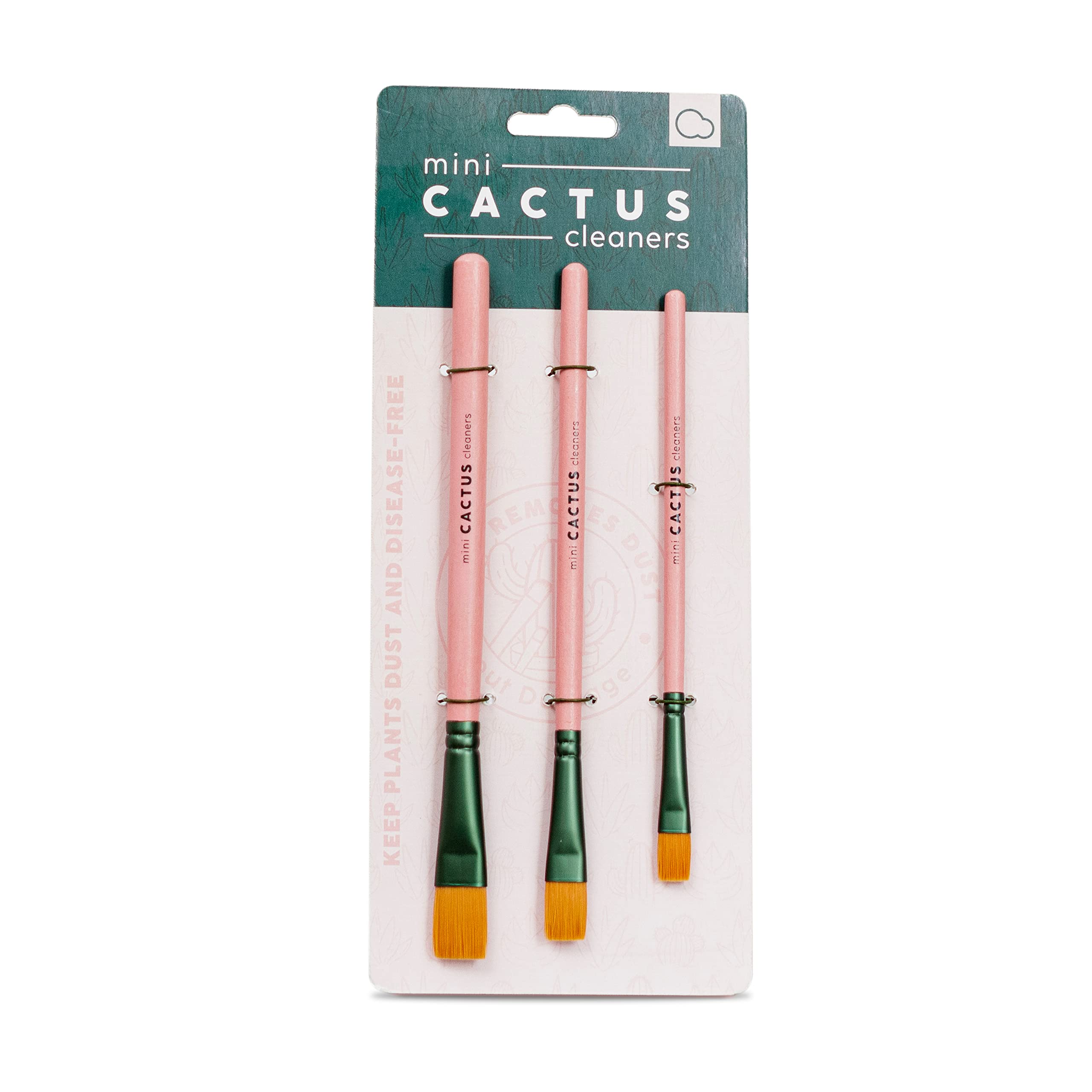 Bubblegum Stuff Mini Cactus Cleaners - Cleaning Brush Set - Brush Cleaner and Sweeper for Cactus - 3 Cleaning Brushes for Cactuses…