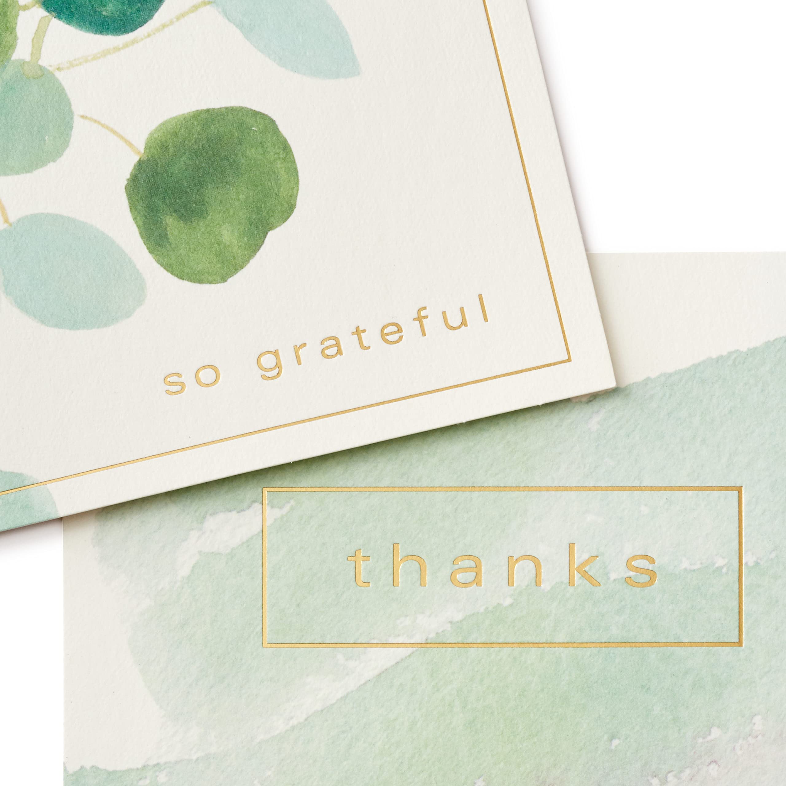 Hallmark Thank You Cards Assortment, Watercolor Greenery (50 Thank You Notes and Envelopes)