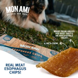 Mon Ami Beef Esophagus Dog Treats (6 inch, 40 Count) –Gullet Treats for Dogs Made from Grass Fed Beef with Glucosamine & Chondroitin – Natural Dog Treats, Grain Free & High Protein Dog Chews