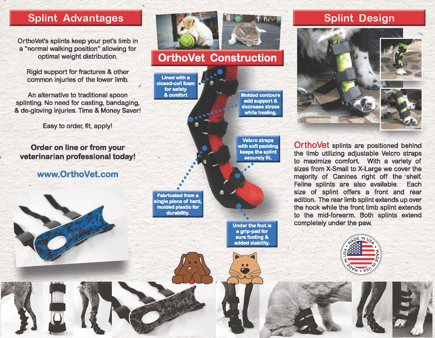 OrthoVet Standard Front Splint for Dogs and Cats with Arthritis or Injuries (XXS)