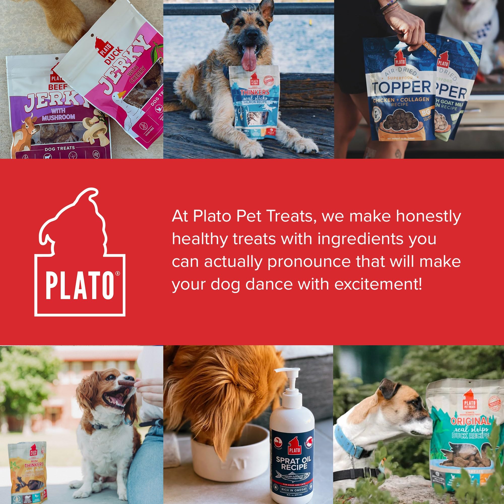 PLATO Pet Treats Air Dried, Real Meat, Chicken Jerky with Pumpkin Dog Treats, Made in The USA, Grain Free, 16oz