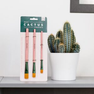 Bubblegum Stuff Mini Cactus Cleaners - Cleaning Brush Set - Brush Cleaner and Sweeper for Cactus - 3 Cleaning Brushes for Cactuses…