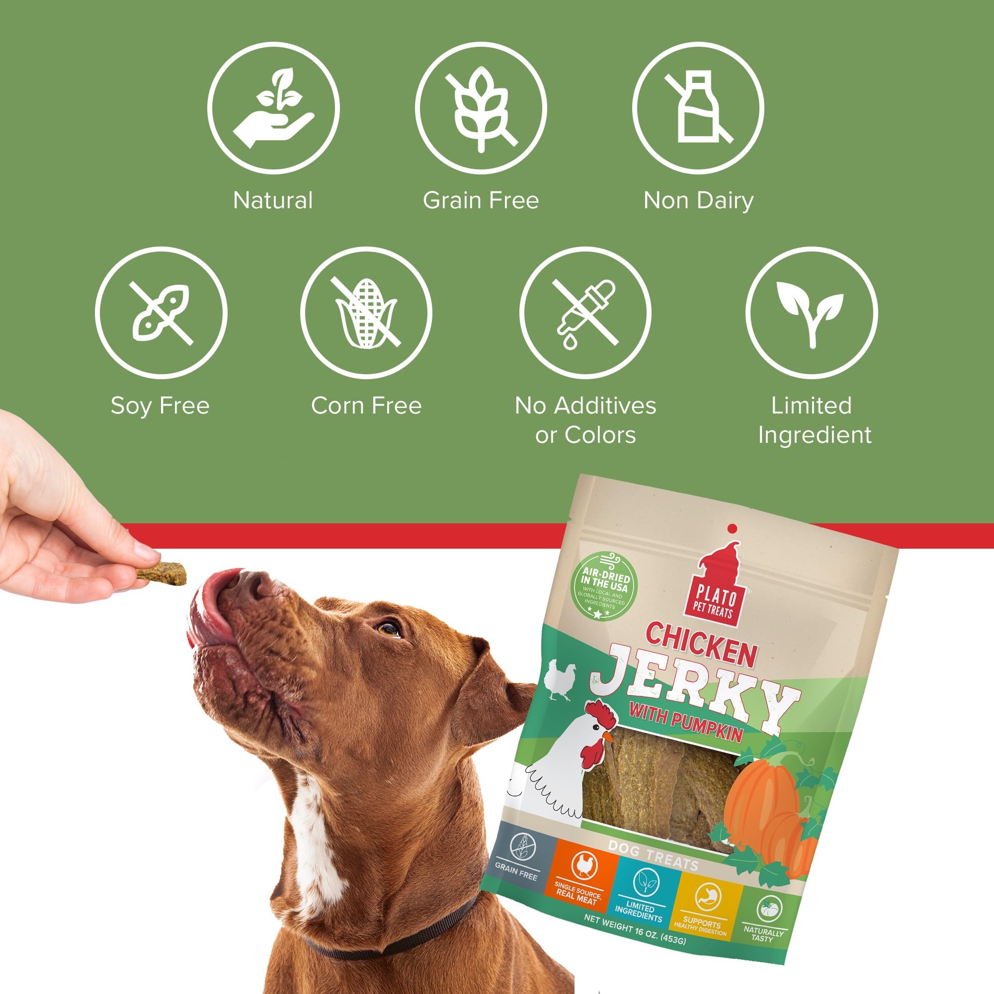 PLATO Pet Treats Air Dried, Real Meat, Chicken Jerky with Pumpkin Dog Treats, Made in The USA, Grain Free, 16oz