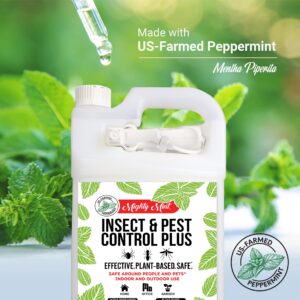 Mighty Mint Insect & Pest Control Plus – Natural Mint Oil Insect Killer Spray, 1 Gallon