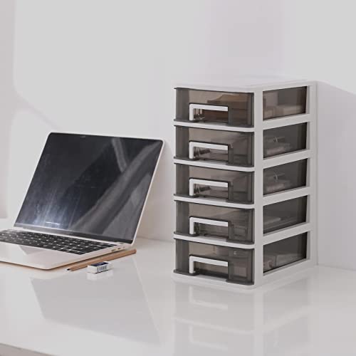 5 Drawer Plastic Storage, Small Plastic Storage Bins with Drawers, Desktop Storage Drawers Clear Drawers Storage Box for Home (31.4 * 21.1 * 15.2CM)