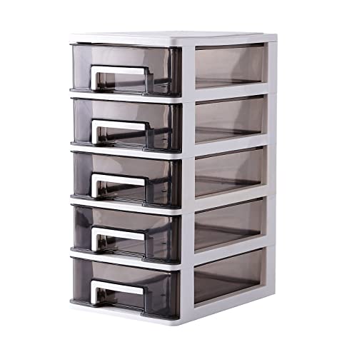 5 Drawer Plastic Storage, Small Plastic Storage Bins with Drawers, Desktop Storage Drawers Clear Drawers Storage Box for Home (31.4 * 21.1 * 15.2CM)