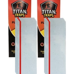 Window Fly Traps by Titan Traps - Sticky Fly Paper, Window Bug Catcher, Indoor Fly Trap, Fly Paper Bug Sticky Strips, Window Fly Strips, Bug Sticky Trap - 30 Disposable Fly Traps (2 Pack)