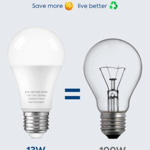 Nouscan LED Light Bulbs 100 Watt Equivalent, Daylight White 5000K, 13W LED Bulb A19, 1500 Lumens, Standard E26 Base, Energy Saving, Energy Saving Lightbulbs, Non-dimmable, 12 Pack