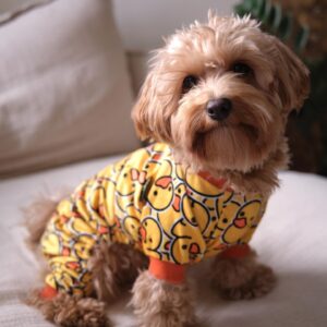 Fitwarm Funny Duck Dog Pajamas, Dog Winter Clothes for Small Dogs Girl, Lightweight Velvet Pet Jumpsuit, Cat Onesie, Yellow, Medium