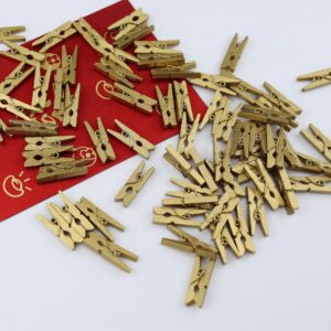 HEEHEE 100 PCS 1 Inch Gold Mini Clothespins Small Clothes Pin Natural Texture Wooden Clips for Food Package Clips Hanging Photo