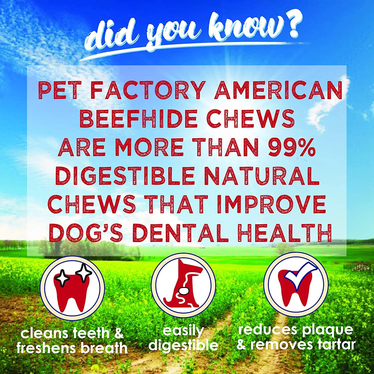 Pet Factory American Beefhide 4-5" Assorted (Bones & Chip Rolls) Dog Chew Treats - Natural Flavor, 10 Count/1 Pack