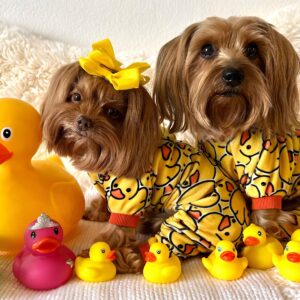 Fitwarm Funny Duck Dog Pajamas, Dog Winter Clothes for Small Dogs Girl, Lightweight Velvet Pet Jumpsuit, Cat Onesie, Yellow, Medium