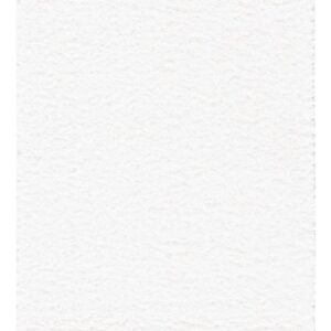 SAFAVIEH Tahoe Shag Collection Runner Rug - 2' x 9', White, Solid Design, Non-Shedding & Easy Care, 1.2-inch Thick Ideal for High Traffic Areas in Living Room, Bedroom (THO670A)