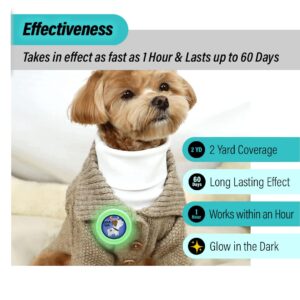 KN FLAX Aegis Calming Clip for Dogs (Glow-in-The-Dark), Anxiety Relief Pheromone Diffuser [Made in Korea], Lasts 60 Days, Reducing Stress During Loud Noise and Separation for All Sized Dog (Love U)