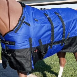 Royal Blue 72 in HILASON 600D Winter Waterproof Poly Horse Blanket Belly Wrap | Horse Blanket | Horse Turnout Blanket | Horse Blankets for Winter | Waterproof Turnout Blankets for Horses | Blankets