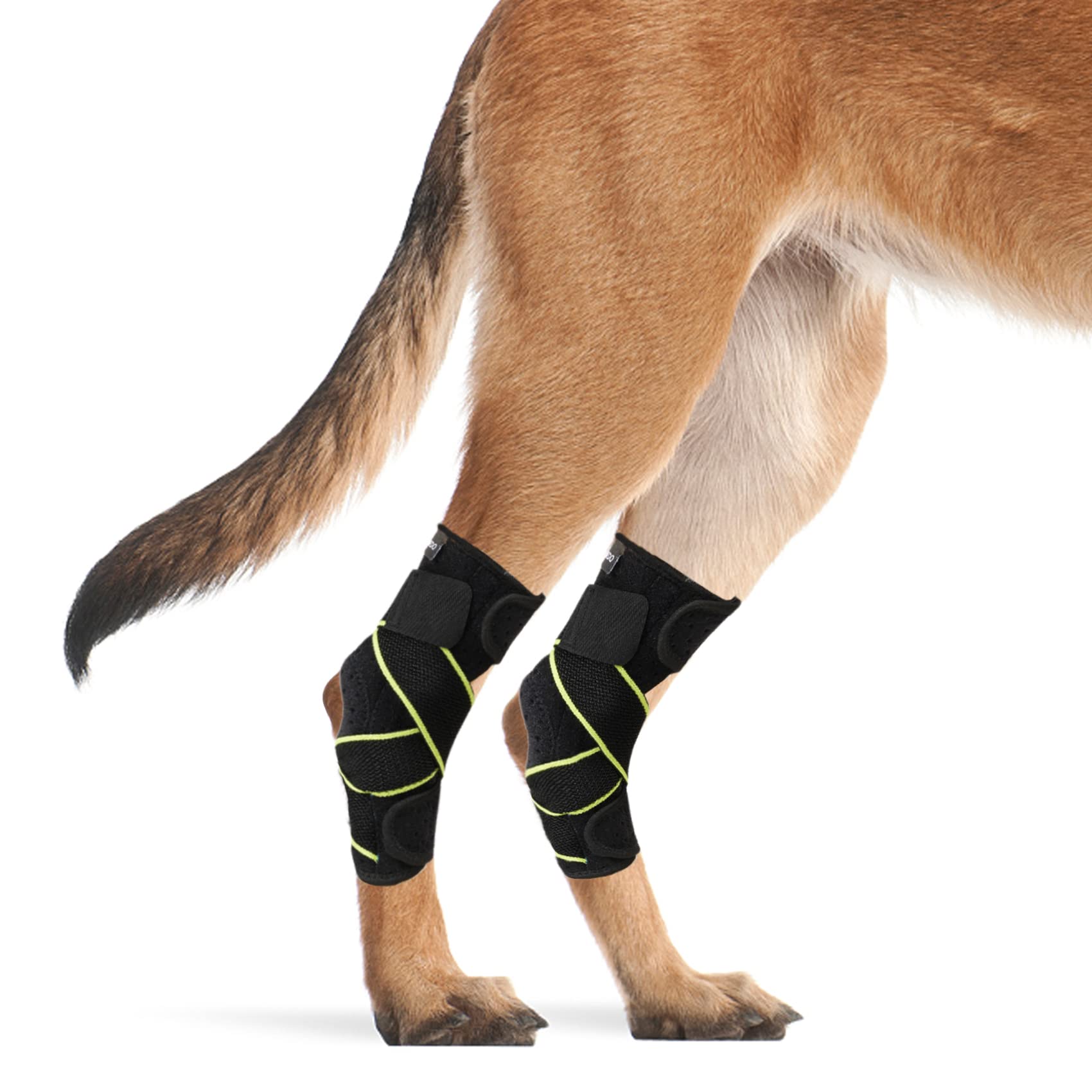 PETNEDO Dog Canine Rear Leg Hock Joint Brace, Pair of Dog Leg Double Compression Brace with Metal Spring Strips, Protects Hind Leg Wounds, Injuries and Sprains Helps Arthritis-L